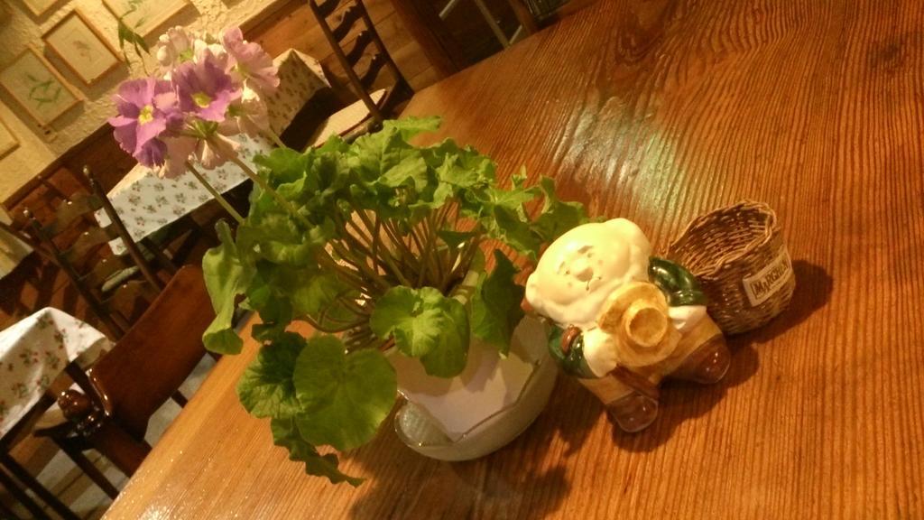 Gallery & Lodge Noichigo Hakuba Esterno foto