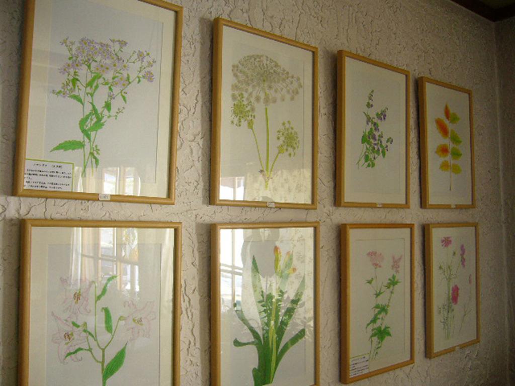 Gallery & Lodge Noichigo Hakuba Esterno foto